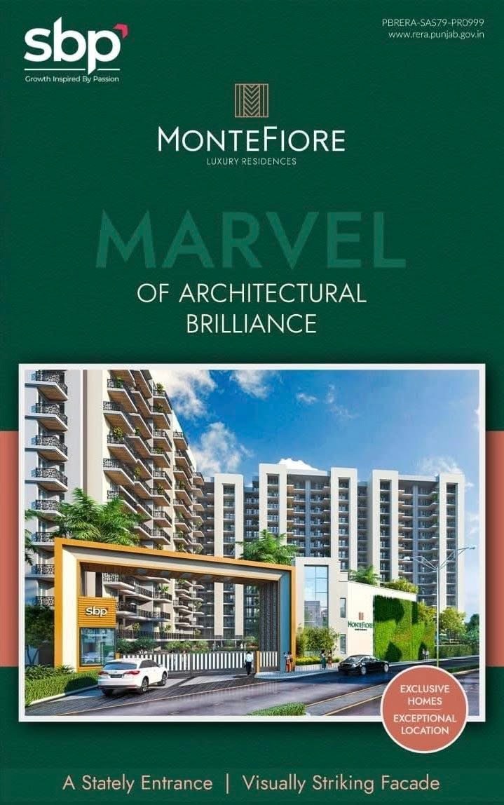 WhatsApp-Image-2025-06-25-at-14.41.47_4ebc478d